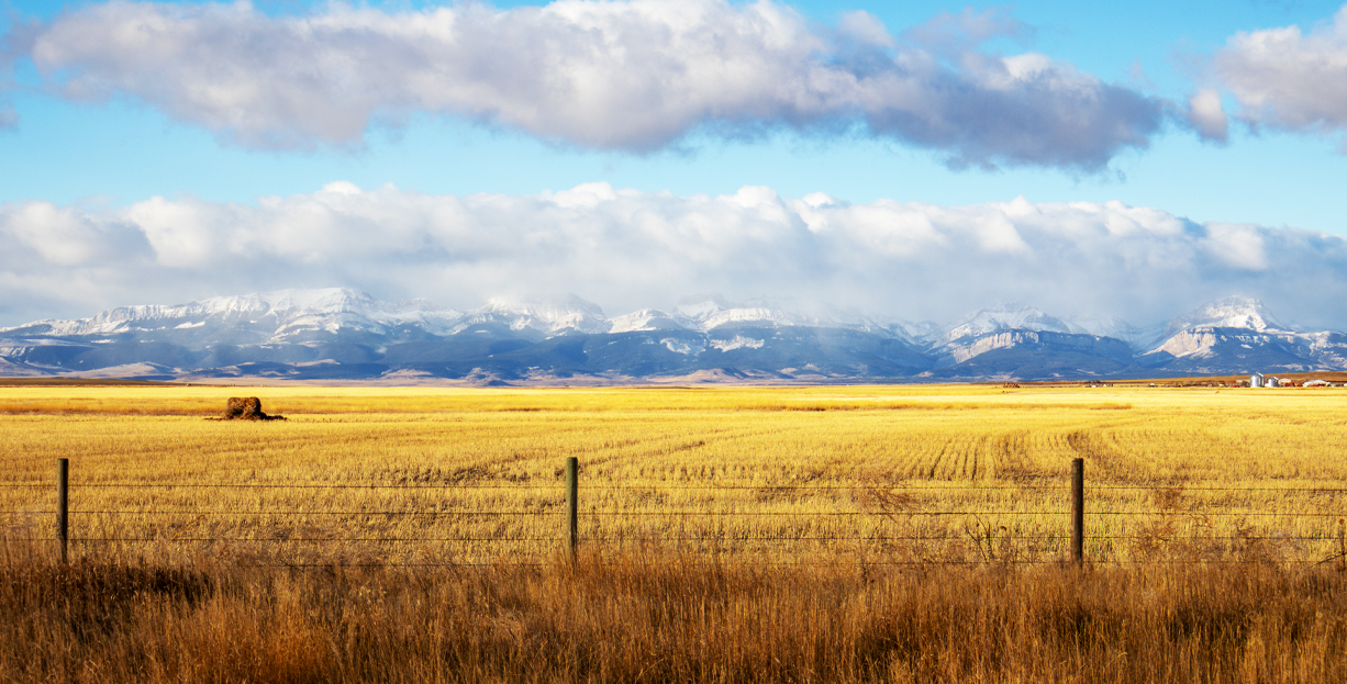 Montana Landscape